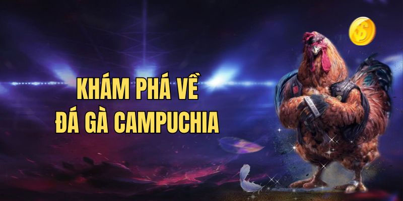 Khám phá hình thức đá gà Campuchia